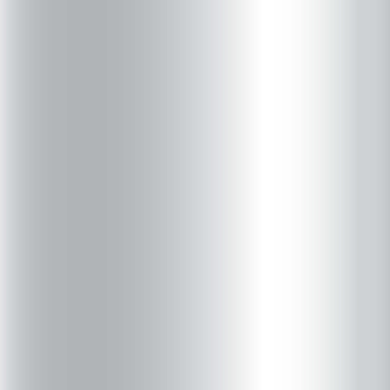 Silver Mirror